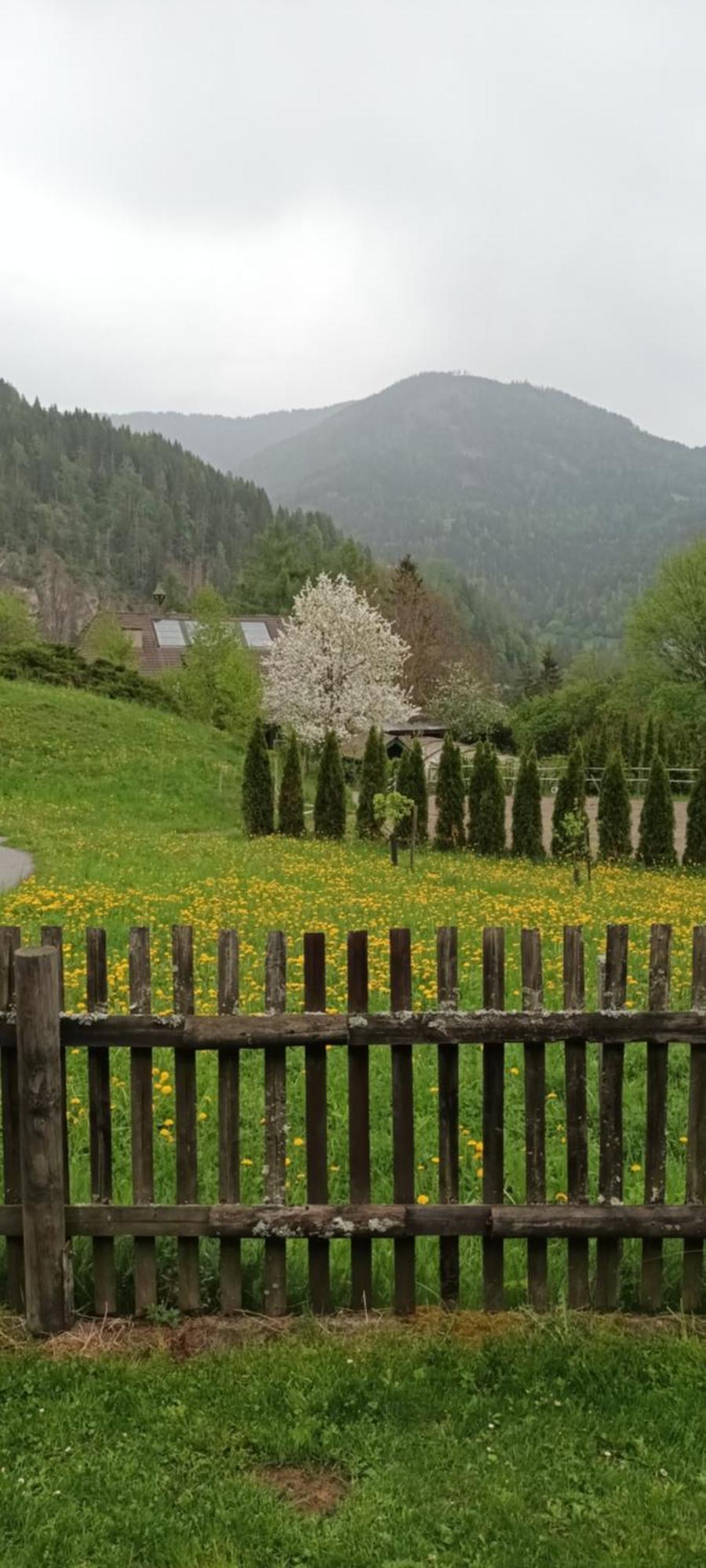Umundumhuette Katsch an der Mur Exterior foto